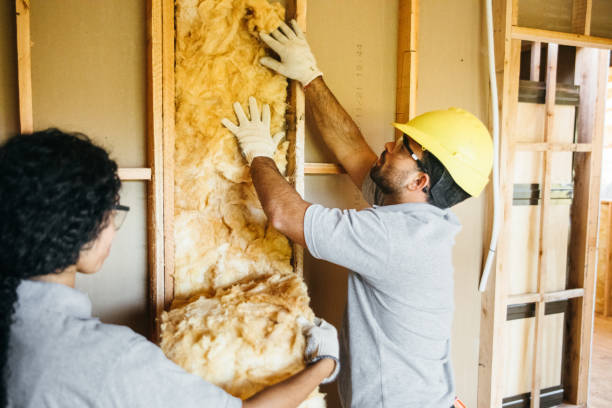 Best Insulation Repair Services  in Warm Mineral Springs, FL